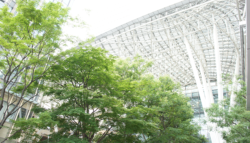 博奥体育网页全站登录 パンダのようなお化粧の垢抜けない女の子は、そんなことを繰り返すうちたびたび補導された