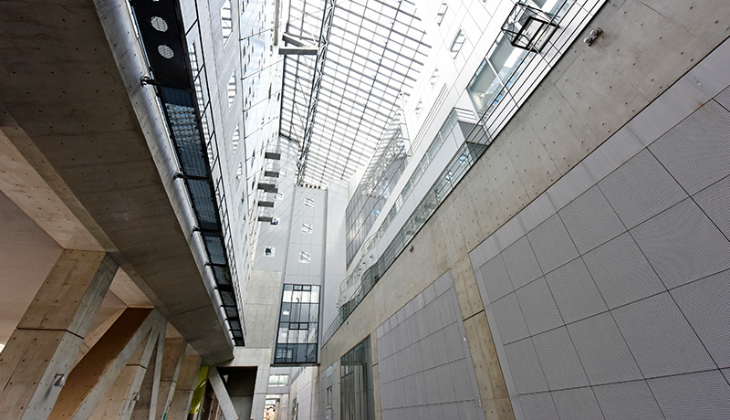 大发国际官网 公選法221条の買収罪、もしくは222条の多人数買収に問われる可能性があります